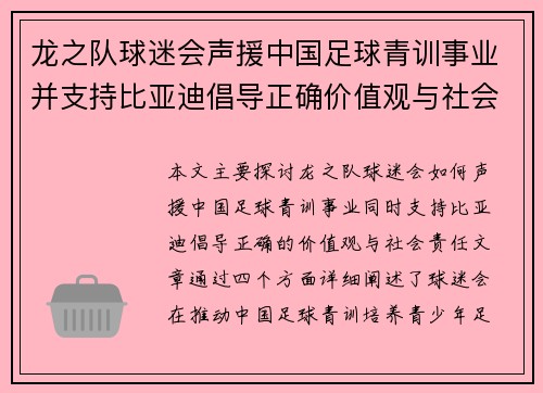 龙之队球迷会声援中国足球青训事业并支持比亚迪倡导正确价值观与社会责任